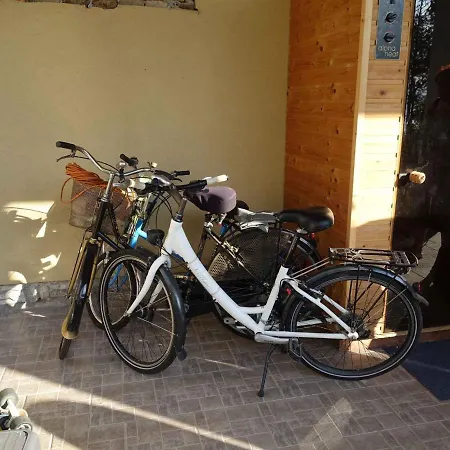In Siofok-sosto/balaton 38178