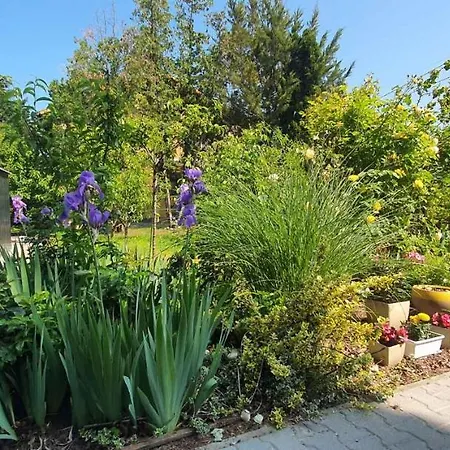 Apartmán In Siofok-sosto/balaton 38178 Balatonszabadi Fürdőtelep