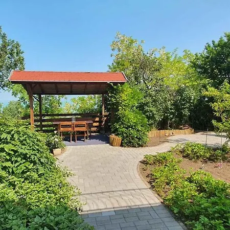 Apartment In Siofok-sosto/balaton 38178 *