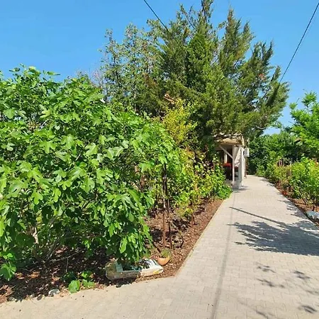 Apartment In Siofok-sosto/balaton 38178